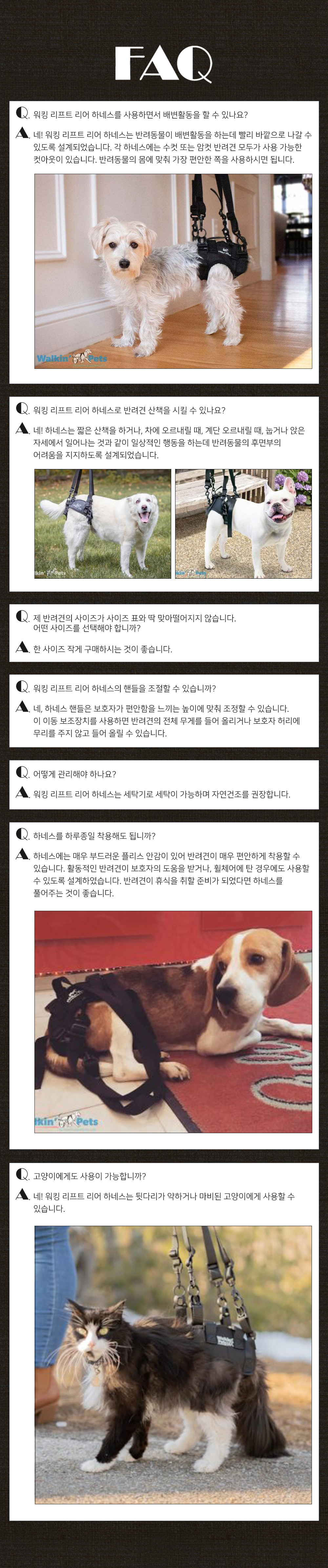 고양이가 개 하네스를 착용할 수 있습니까